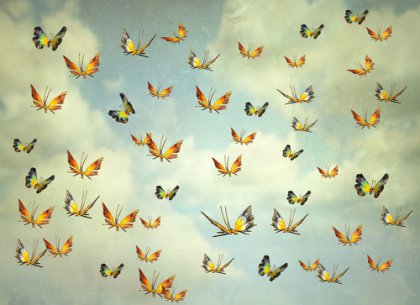 papillons-shutterstock_270432002-420x305