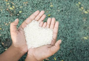 4 types de manque qu'il faut expérimenter pour mieux valoriser les choses