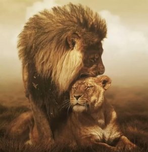 Le besoin de reconnaissance, le pilier de l'estime de soi