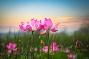 Ici et maintenant : rien n'est plus important