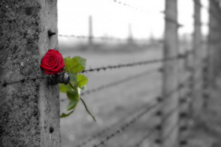La force et les limites de l'amour