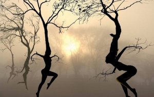 Vivre avec des ailes ou des racines