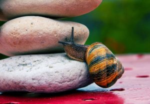 L'art de ne pas s'empoisonner la vie