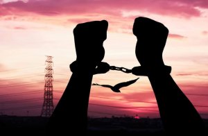 Quand le bonheur dépend des autres