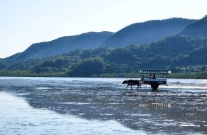 Le secret des habitants d'Okinawa