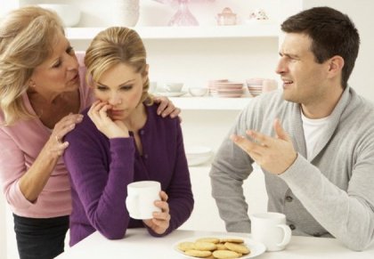 familia-politica-420x291