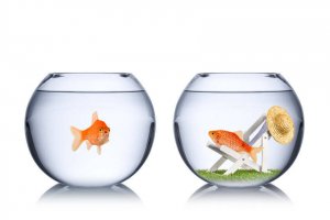 Arrêtez de penser que vous méritez mieux