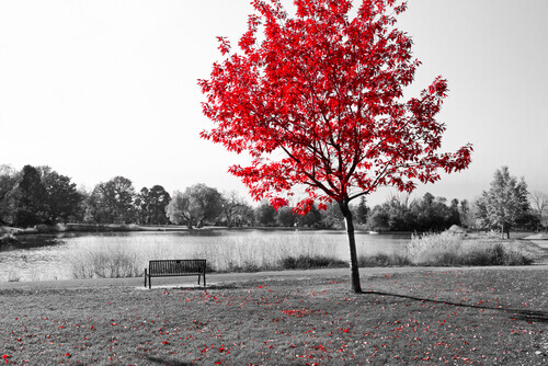 shutterstock_247248526