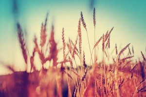 Atteignez l'abondance !