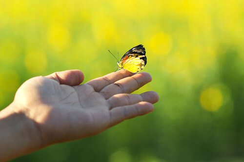 Comment donner un tournant positif à sa vie en seulement 4 semaines