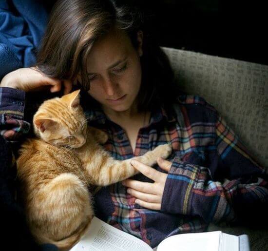 calin-chat