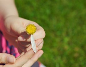 Les 5 clés d'une relation saine et durable