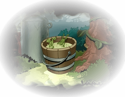 grenouilles