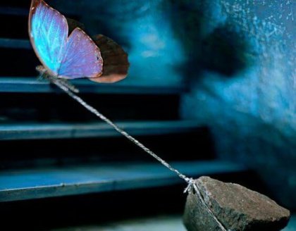 papillon-pierre