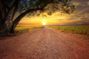 Quand la démotivation apparaît, que faire pour l'éliminer ?