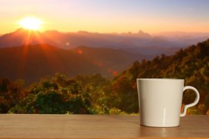 Les choses arrivent-elles par hasard ?