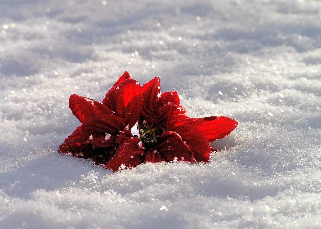 Comment-sortir-d-une-relation-de-couple-toxique-1024x731