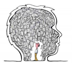 Comment notre cerveau fonctionne-t-il lorsque nous apprenons des nouveaux mots ?