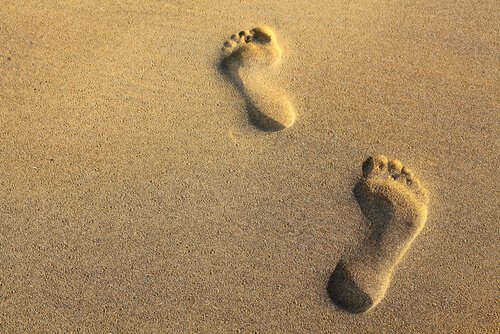 chaque-etape-est-importante-shutterstock_68918620