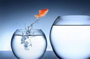 Surmonter des obstacles pour grandir