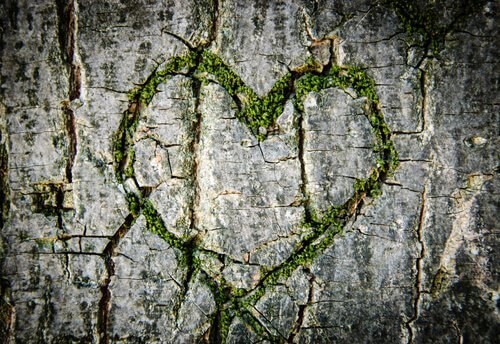 Coeur-verre-arbre
