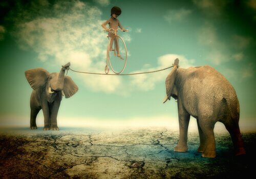 Enfant-en-equilibre-entre-deux-elephants