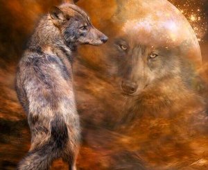 La beauté est une attitude