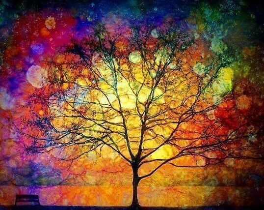 arrbre en couleurs