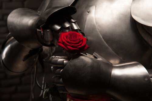 chevalier-rose
