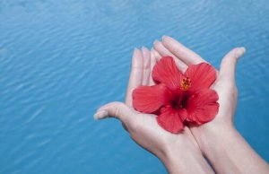 La gratitude, l'ingrédient secret