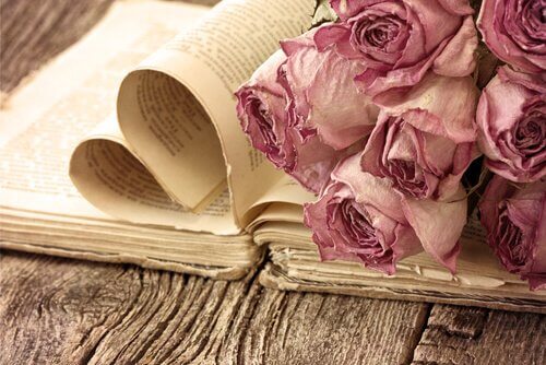 rosas-marchitas-sobre-libro-con-las-hojas-abiertas