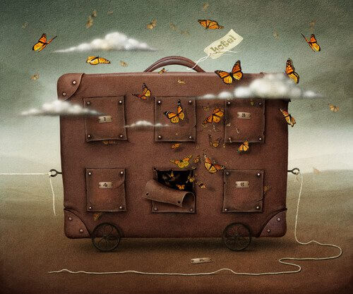 valises avec des papillons