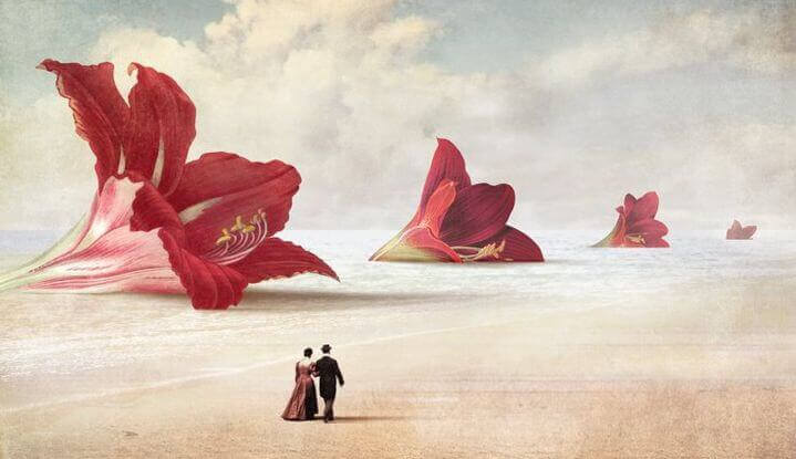 Couple-se-promenant-devant-fleurs-gigantesques-e1451859642439