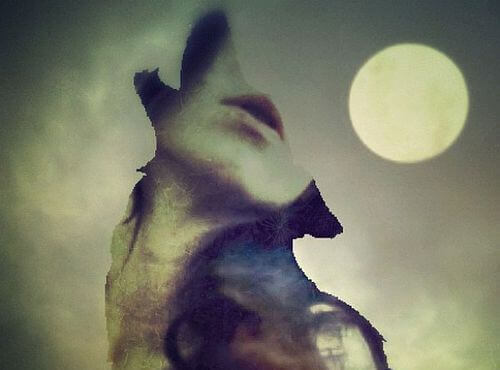 Profil-loup-visage-feminin