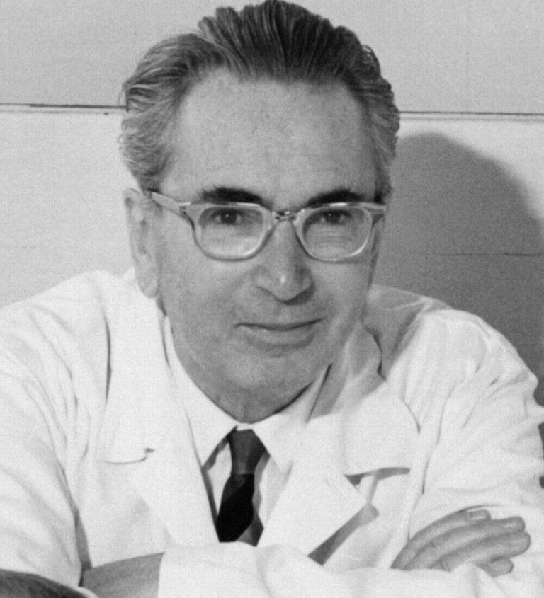 10 leçons de Viktor Frankl sur l'adversité