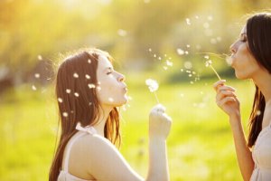 Les bons amis sont le meilleur remède de l'âme