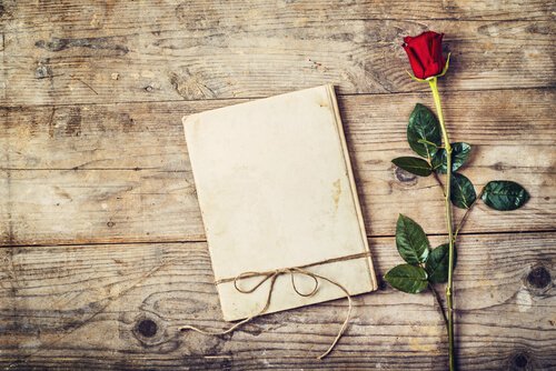feuilles blanches roses