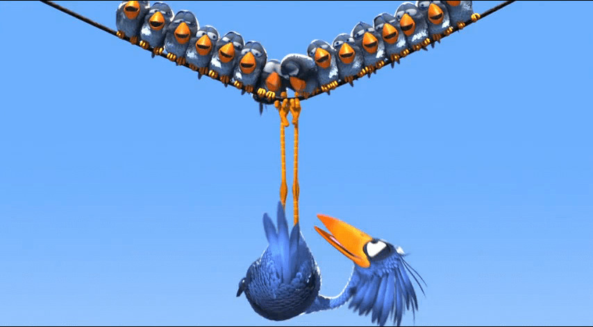 for-the-birds