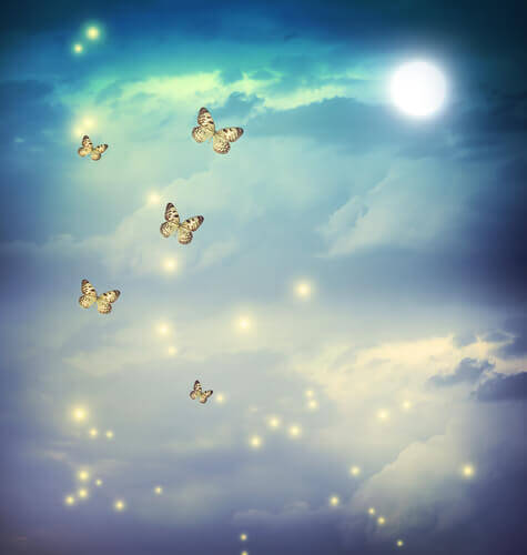 papillons qui volent dans le ciel