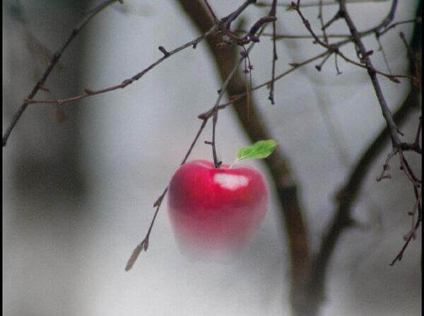 pomme rouge