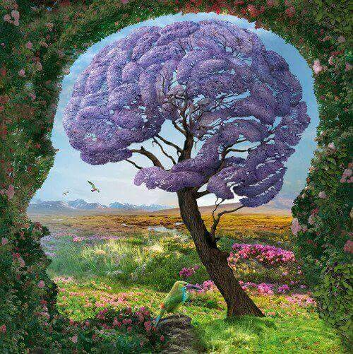 profil nature