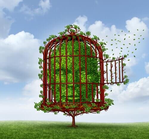 cabeza-de-arbusto-encerrada-en-una-jaula