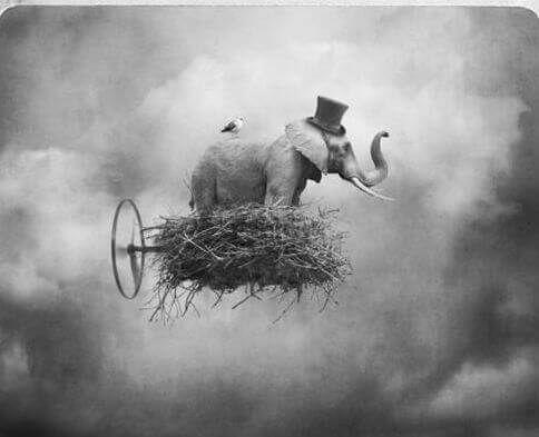 elephant sur un nuage