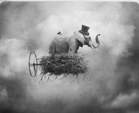 elephant sur un nuage