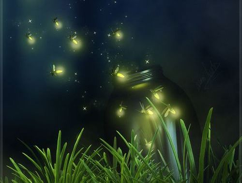lucioles dans la nuit