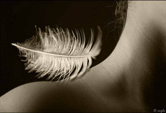 plume dans le cou