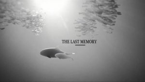 Ce court-métrage sur nos océans vous ouvrira les yeux sur une réalité que nous ne devons plus ignorer