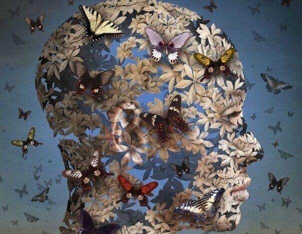 visage en papillons