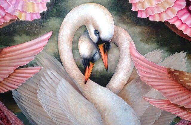 Couple-de-cygnes