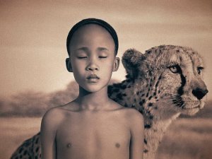 Plus l'armure est épaisse, plus l'être est fragile